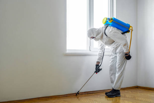 Reliable Anderson, SC Pest Control Solutions