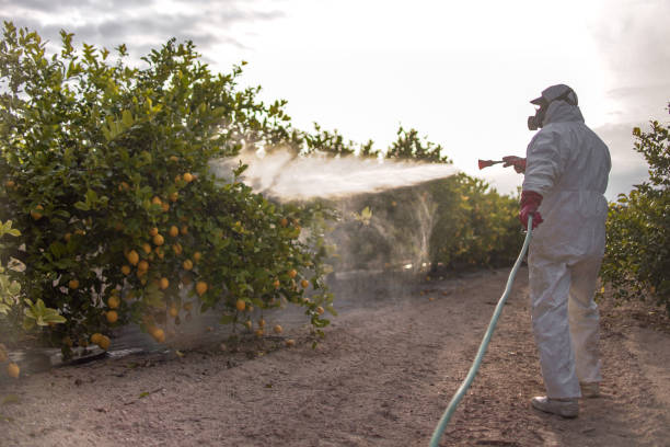 Best Pest Prevention Services  in Anderson, SC