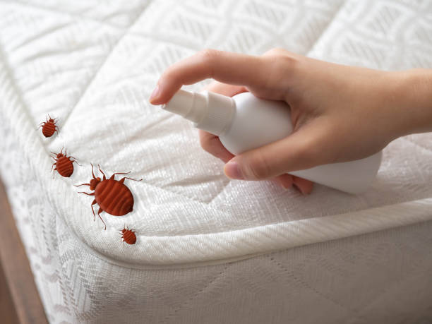 Best Cockroach Control Services  in Anderson, SC